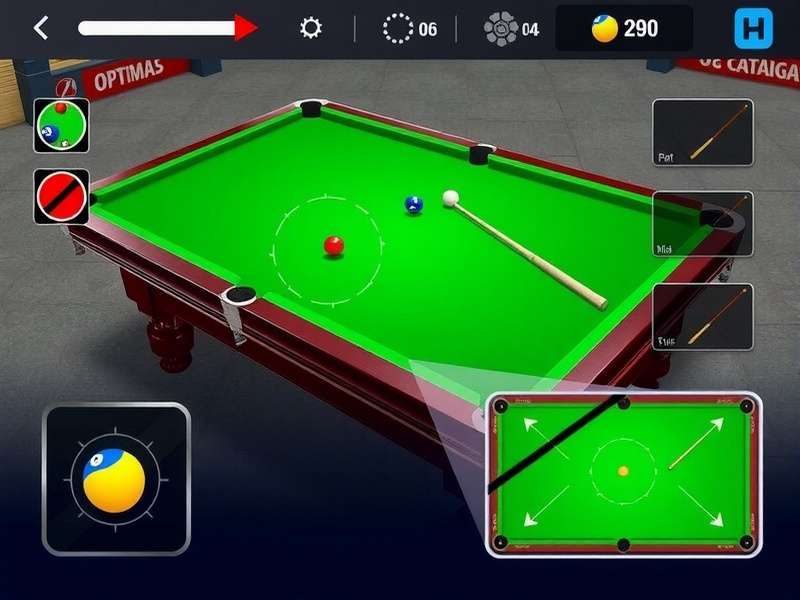 Delhi Pool Star Customization Options Delhi Pool Star visual customization options showing different table designs and cues